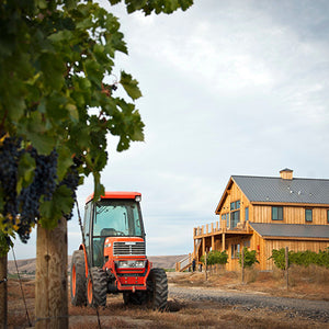 Tractor by Vineyard